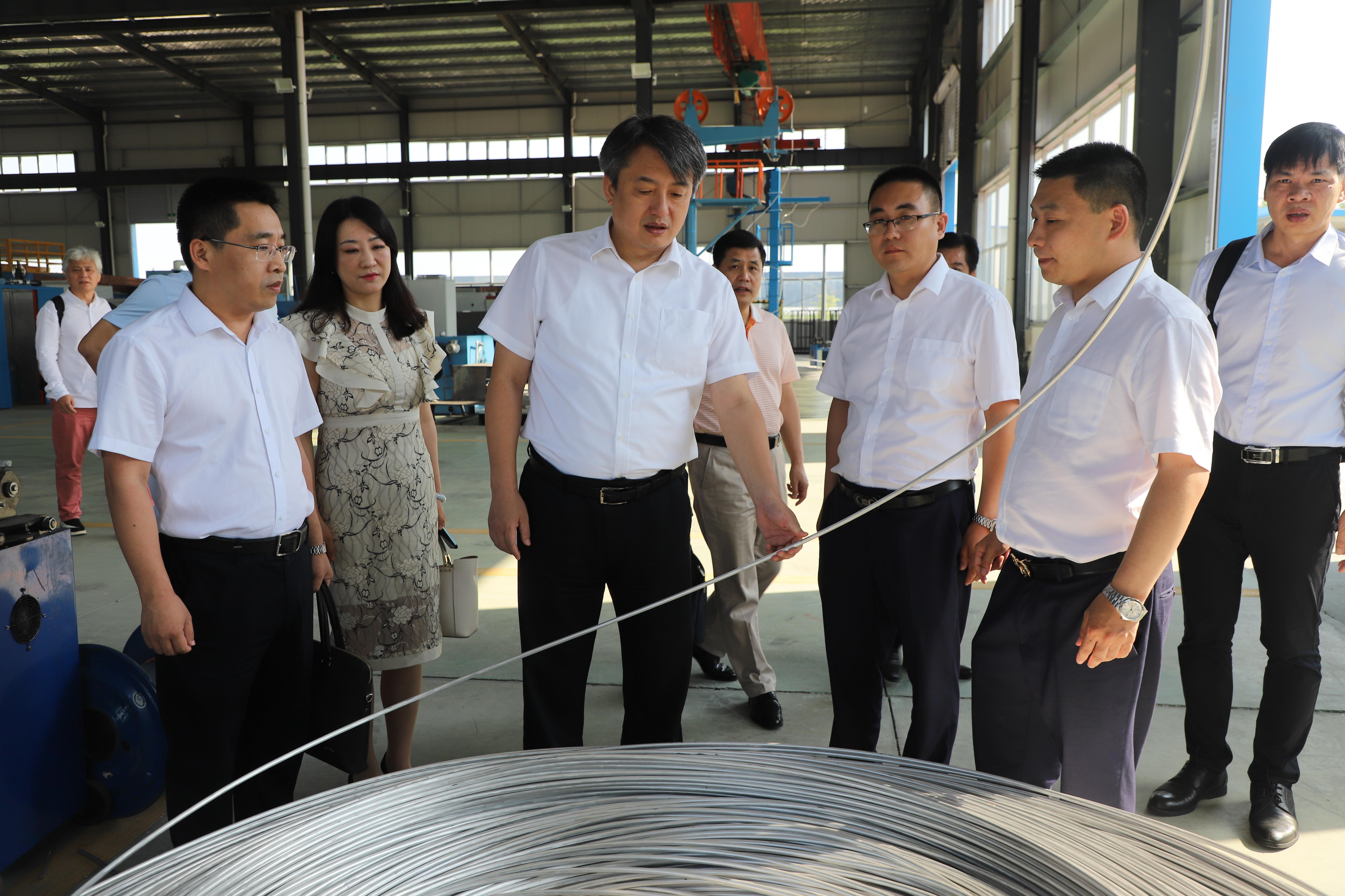 河池市政府王军市长一行来公司考察调研